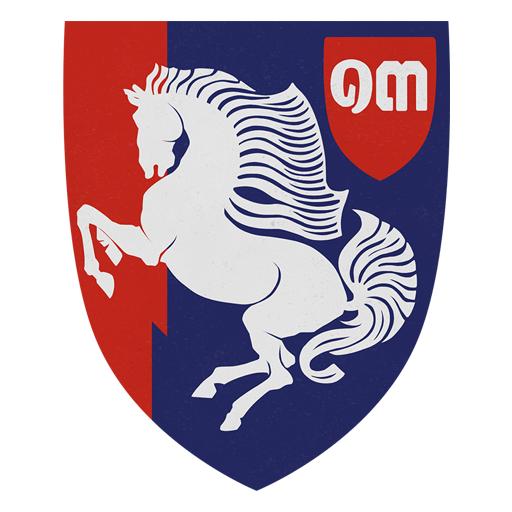 13th Cavalry Battalion Emblem